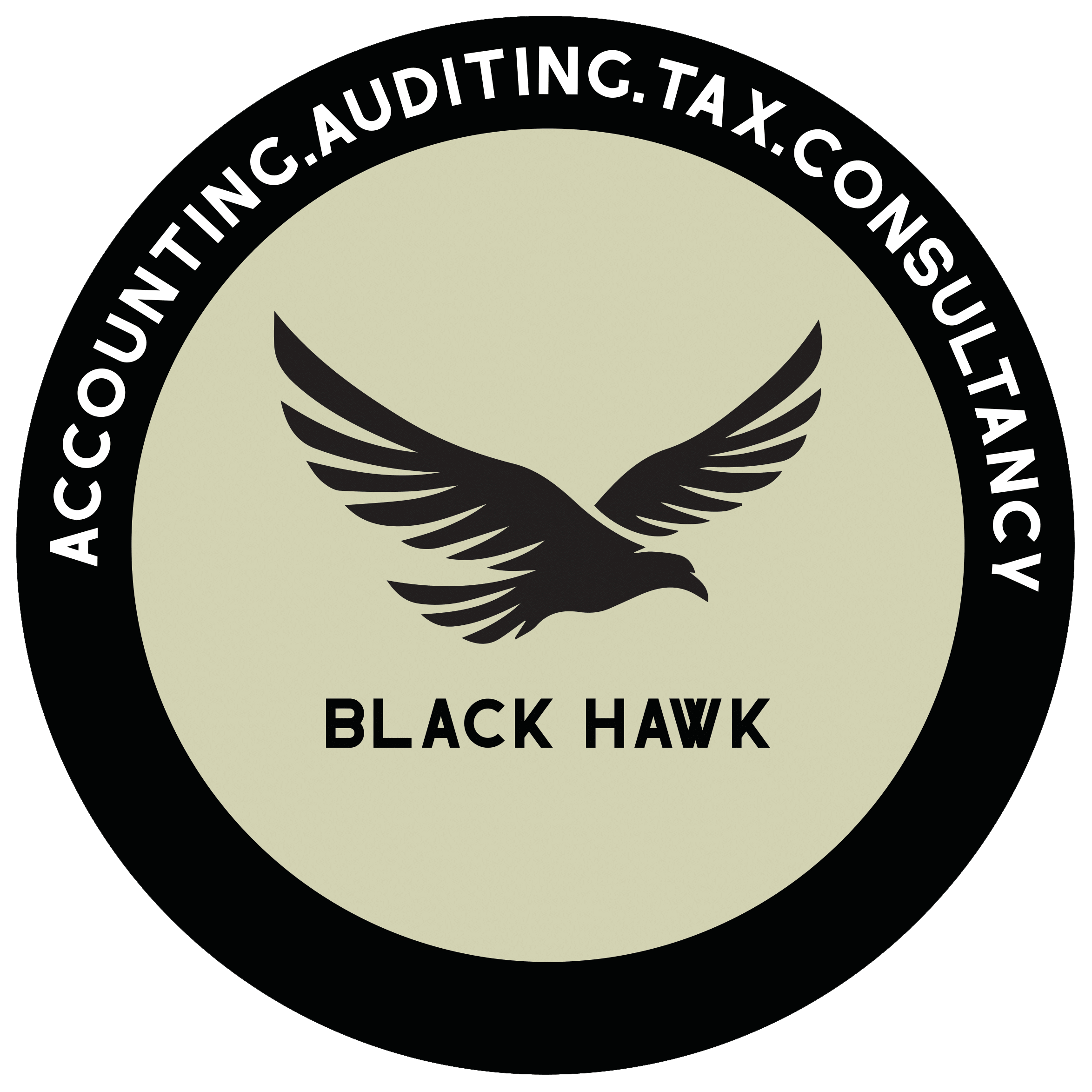 Blackhawk Financial Consultancy